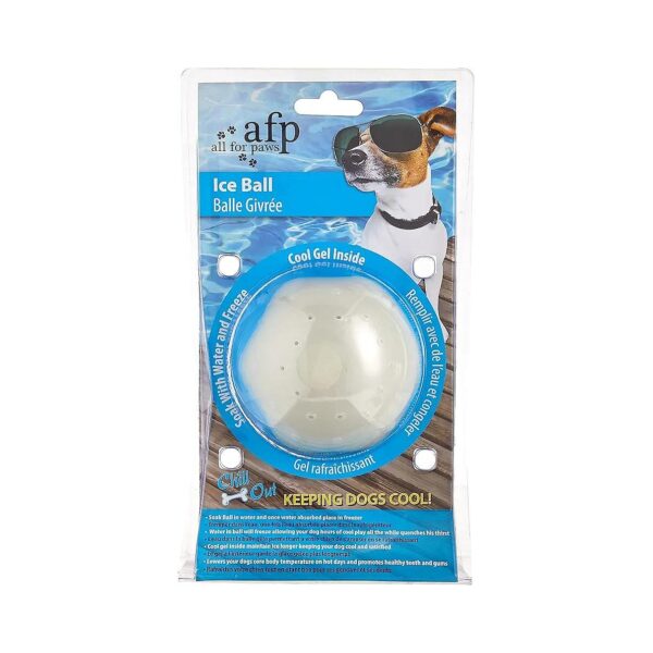 Filled Ice Ball Dog Toy for Long-Lasting Cooling