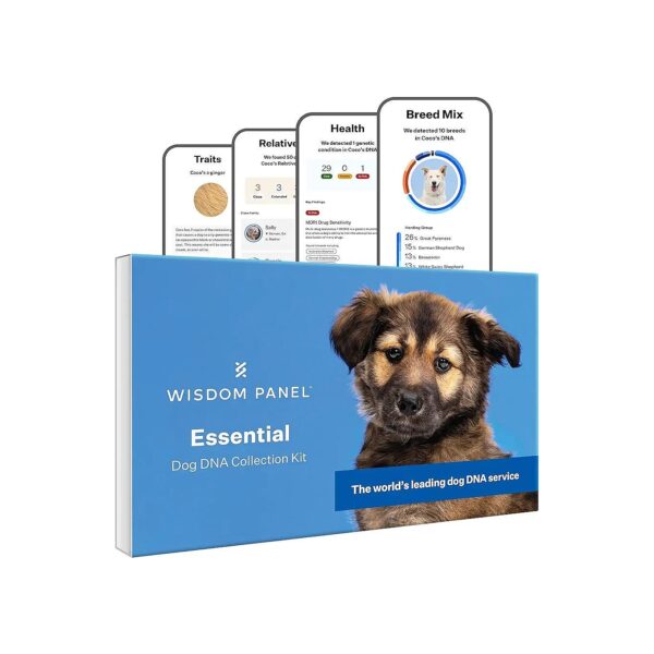 Find Out What Makes Your Dog Unique with DNA Tests for Physical Features