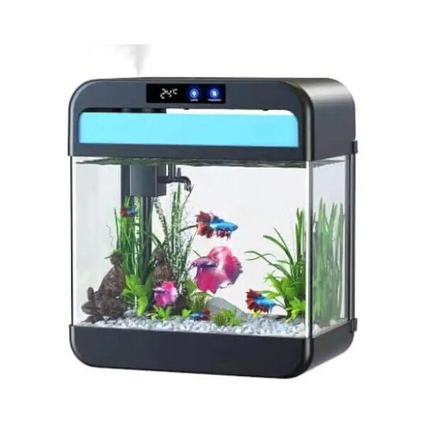 Fish Tank Aquarium 2 Gal with Humidifier and 7 Color Auto-Looping Light