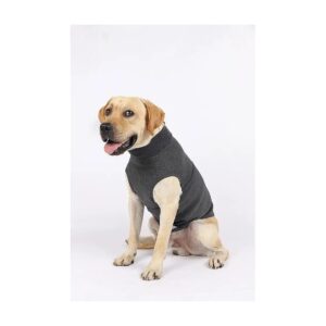 Fit Grey Dog Anxiety Vest with Spandex and Polyester for Comfort and Support