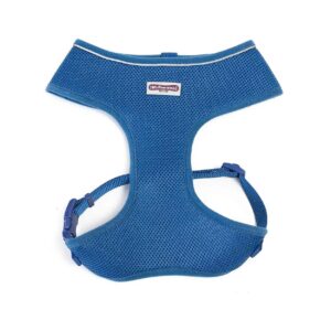 Fitting, Breathable Dog Harness in Small Size, Blue, Padded Air Mesh Material