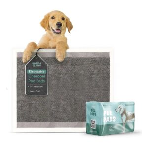 Five-Layered Absorbent Pee Pads for Dog Potty Training - 36" x 36" Gray