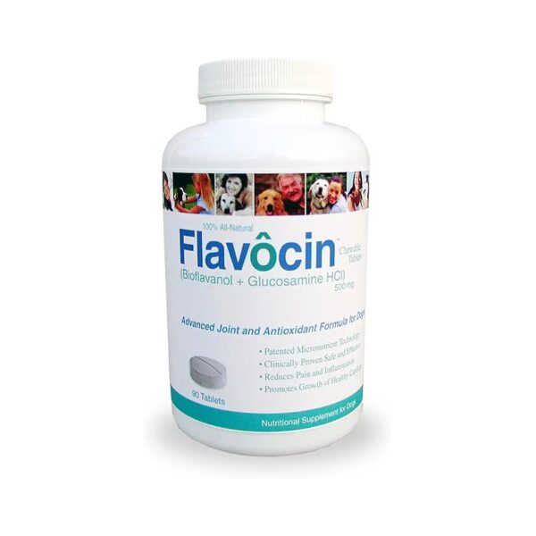 Flavocin Glucosamine Chondroitin Tablets for Canine Hip and Joint Health Pain Relief