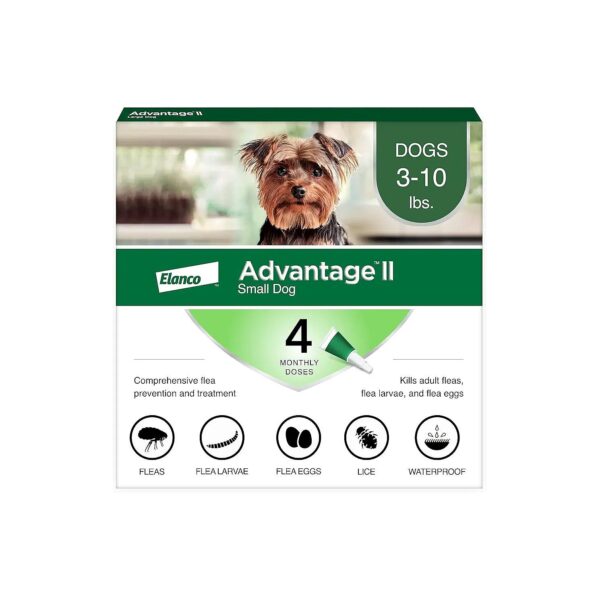 Flea Prevention for Small Dogs 3-10 lbs Vet-Recommended 4-Month Supply