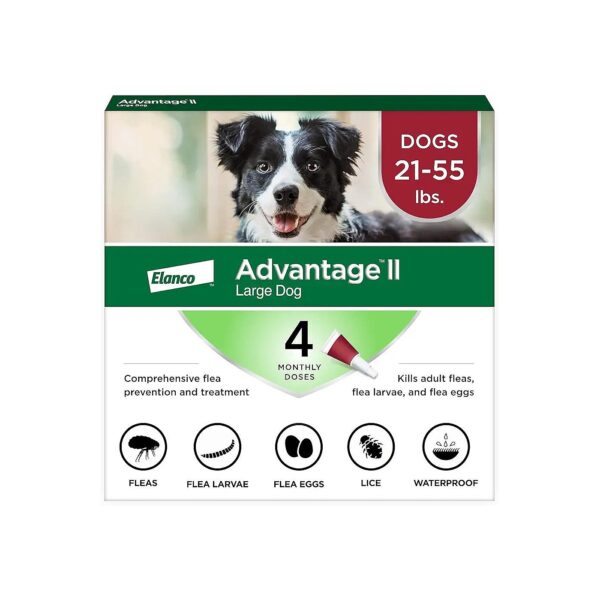 Flea Treatment and Prevention for Large Dogs 21-55 Lbs, 4-Month Supply