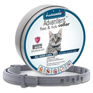 Flea and Tick Collar for Cats and Kittens Long Lasting and Odorless for Cats