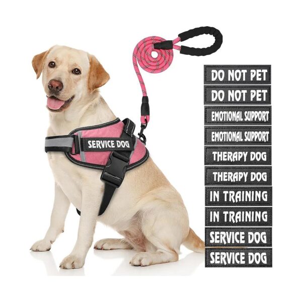 Flexi-Fit Nylon Training Dog Vest with Reflective Material and Soft Handle for Small Dogs