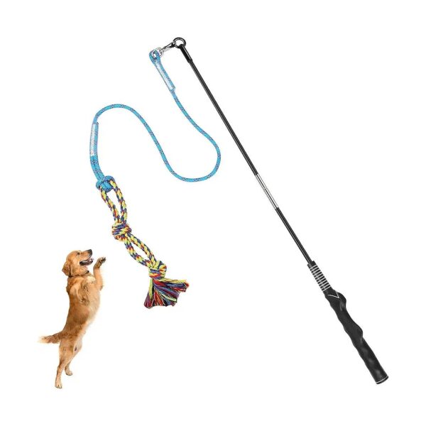 Flirt Pole Interactive Dog Toy for Outdoor Exercise and Training