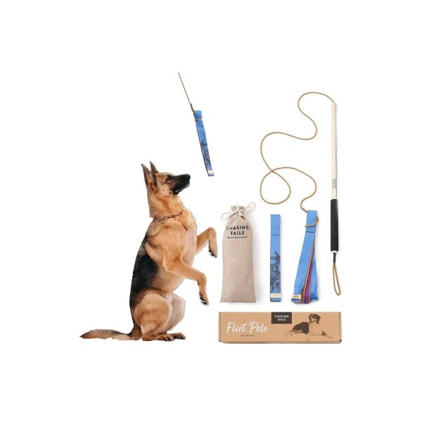 Flirt Pole for Small and Medium Size Dogs with 26 Inch Pole and 70 Inch No-Stretch Rope