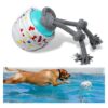 Floating Ball Toys for Swimming Pools and Backyard Water Play for Dogs