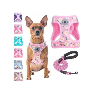 Floral Pattern Small Dog Harness and Leash Set for Fashionable Pet Owners