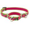 Floral Patterned Martingale Dog Collar in Pink and Green with Adjustable Size Range