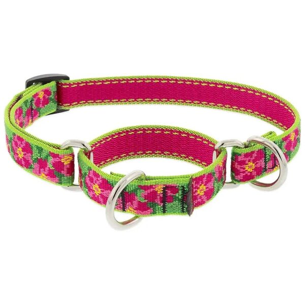 Floral Patterned Martingale Dog Collar in Pink and Green with Adjustable Size Range