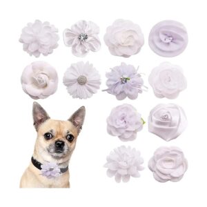 Floral and Bow Dog Collar Attachments for Wedding and Birthday Parties