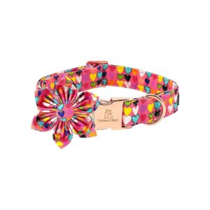 Flower-Patterned Dog Collar with Adjustable Straps for Small Breed Dogs