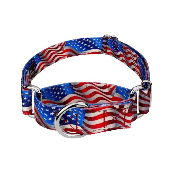 Flying Free Reflective Dog Collar Collection with 12 Night Safe Designs