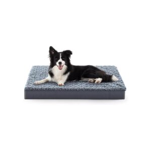 Foam-Based Dog Bed for Extra Large and Medium Breed Dogs with Comfortable Velvet Cover