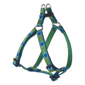 Focused Harness for Small Dogs with Paw-Friendly Buckle and Guaranteed Durability