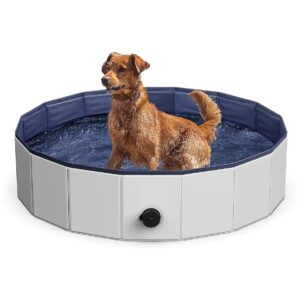 Foldable Dog Pool for Kids and Pets with Anti-Slip Bottom for Safe Play