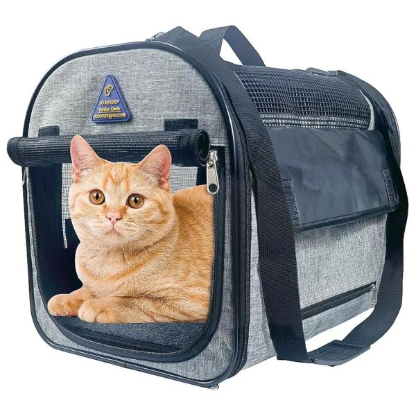 Foldable Pet Carrier for Cats and Dogs up to 16 Lbs with Soft Sides