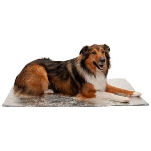 Foldable, Silver Thermal Mat for Pets, Pet-Friendly, Reversible, All Breed Sizes