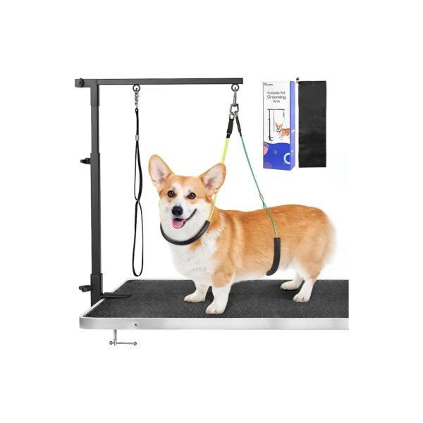 Foldable and Portable Dog Grooming Stand with No Sit Haunch Holder and Grooming Loop