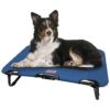 Folding Pet Cot for Large Breeds Up to 50 Lbs with Breathable Mesh