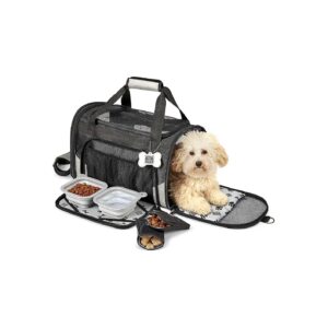 Food Bowls, and Accessories for Small Dogs