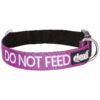 Food Free Zone Collar for Dogs, Purple, Sizes S-M L-XL to Prevent Accidents