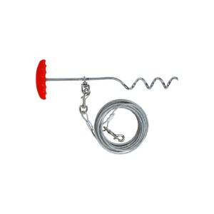 Foot Tieout Cable and Flat Top Stake for Easy Pet Anchoring and Movement