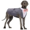 Formal Dog Suit and Tie Set for Boy Dogs like Labradors Golden Retrievers Bulldogs