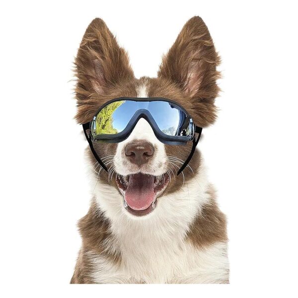 Framed Dog Sunglasses with Adjustable Straps, Anti-UV Coating, and Breathable Ventilation