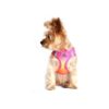 Free Dog Harness for Small Breeds with Reflective Strips and Nylon Material, XS