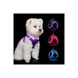 Free Dog Harness with LED Light-Up and Reflective Material for Nighttime Walks