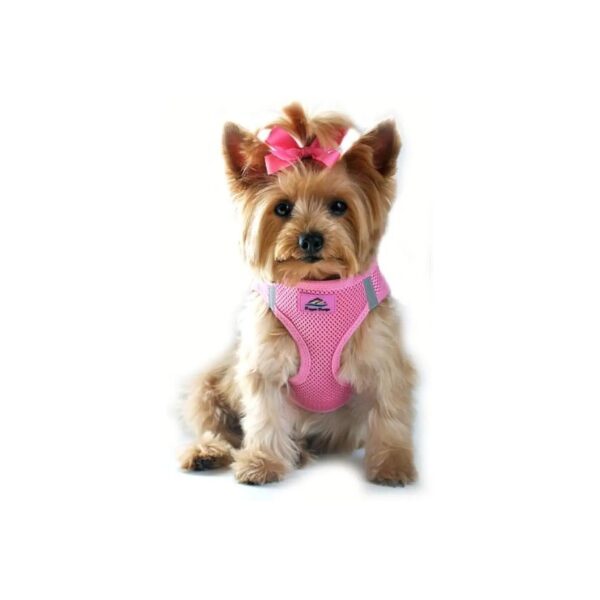 Free Dog Harness with Reflective Strips for Safe Night Walking and Pink Color