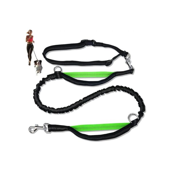 Free Dog Leash for Large Breed Dogs with Adjustable Waist Belt