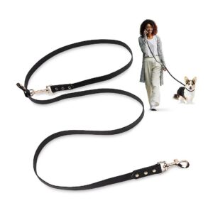 Free Dog Leash for Small to Medium Sized Dogs - Waterproof Faux Leather and Metal Clips