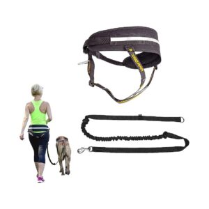 Free Dog Leash with Bungee Shock Absorber and Handle for Small to Large Breed Dogs