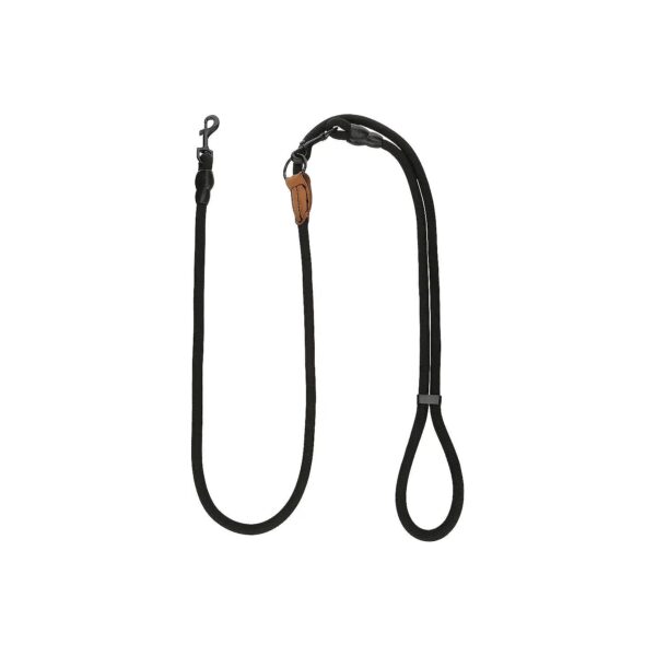 Free Dog Leash with Our 4-in-1 Design