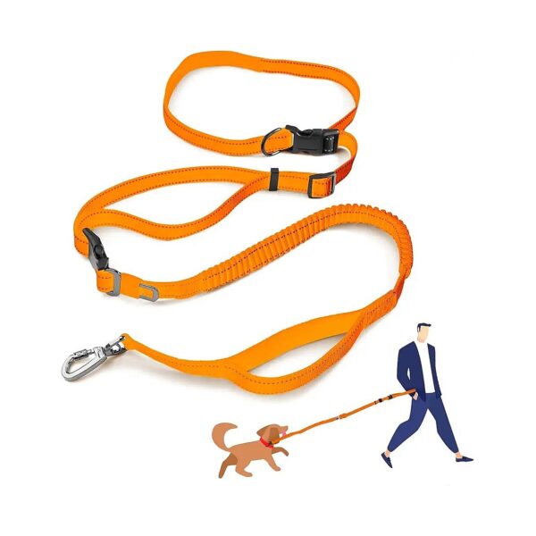 Free Dog Leash with Reflective Strips, Built-In Shock Absorber, and Padded Handle