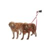 Free Dual Dog Leash for Two-Tones of Red, One Size Fits All