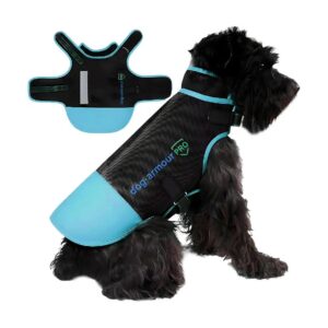 Free Harness Vest for Lifetime Protection