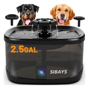 Free Pet Water Fountain with Omni-Directional Filteration and Easy Cleaning