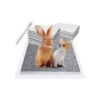 Free Rabbit Pee Pads for Small Animals