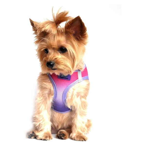 Free Reflective Dog Harness in Small Size with Raspberry Sundae Color