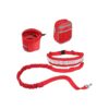 Free Reflective Dog Leash Kit with Bottle Holder and Waist Bag for Outdoor Adventures