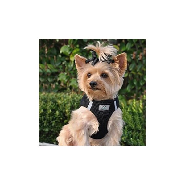 Free Reflective Step-In Harness for Small Dogs Black Color