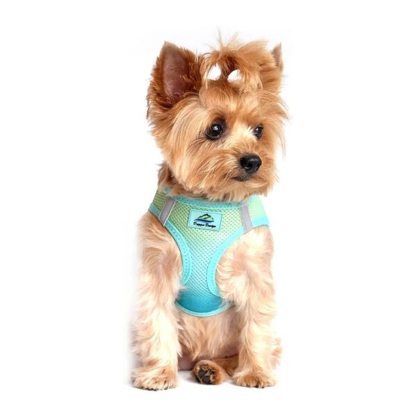 Free Safe Walking Harness with Reflective Strips for Small Dogs XX-Small Aruba Blue