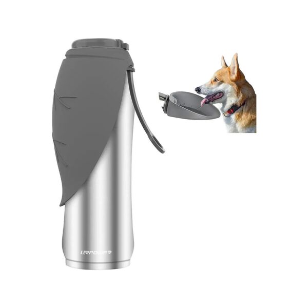 Free Stainless Steel Dog Water Bottle with Large 27Oz Capacity