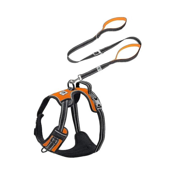 Free Technology and 5-Foot Leash for Safe Walking Orange Pattern Nylon